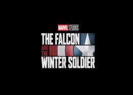 The Falcon and the Winter Soldier